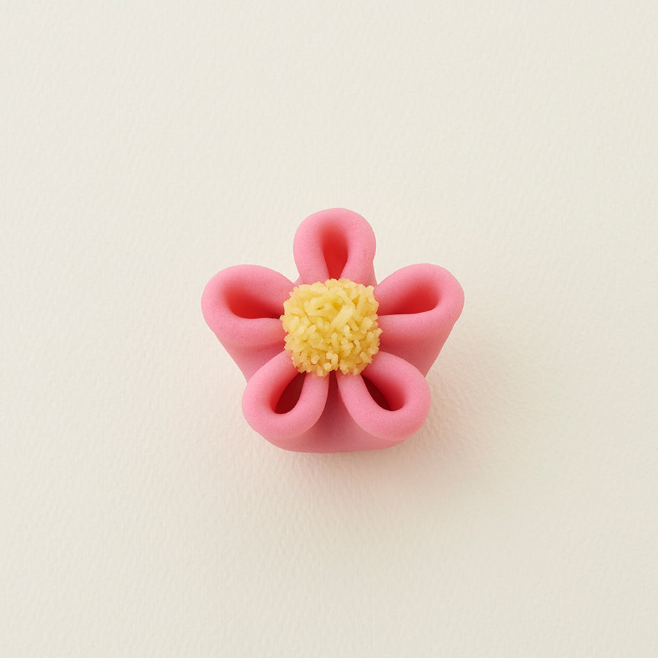 Kankobai / Pink Plum Blossom in the Cold