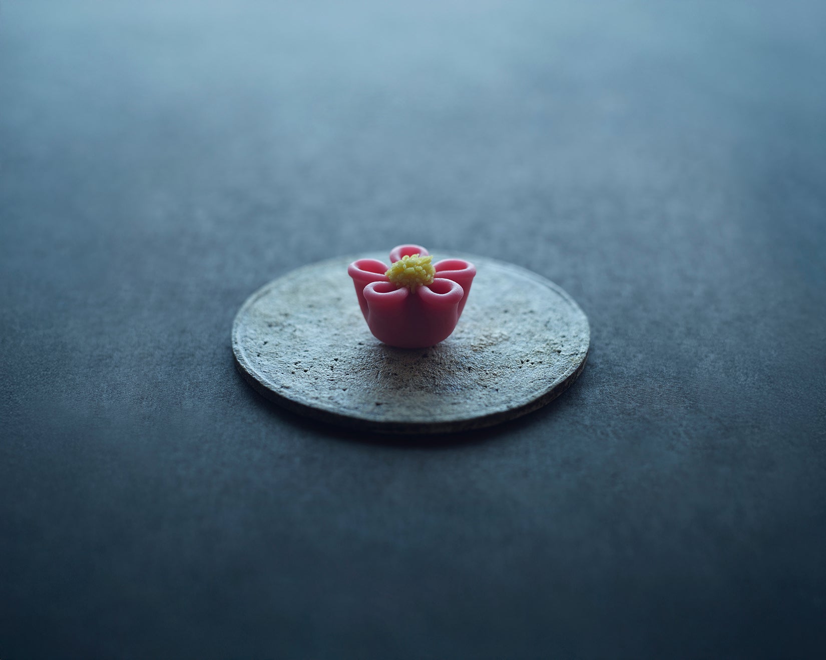 TORAYA@shopです❗️ Toraya Confectionery Co. Ltd. - The official online store